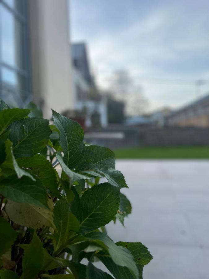 Atic Casa Pomar Leilighet Camprodon Eksteriør bilde